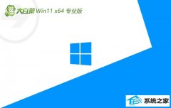 ��ײ�win11 64λ �⼤��ǿ����ͳ��v2026.04